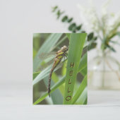 Spring Hawker Dragonfly HELLO Postcard Postkarte (Stehend Vorderseite)