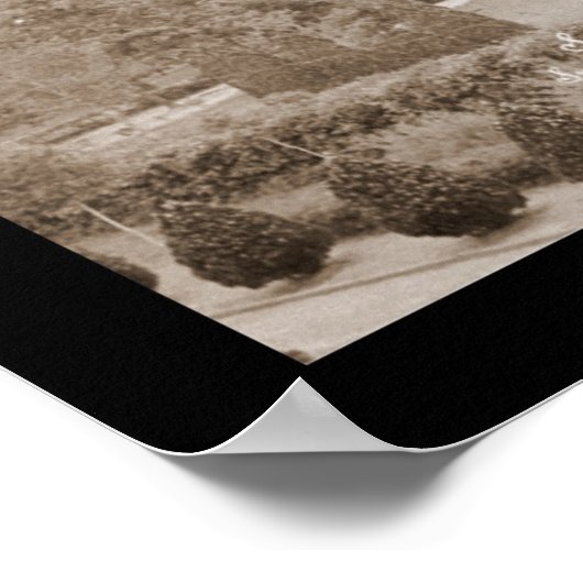 Spring Hill Uni Foto 1918 Poster (Ecke)