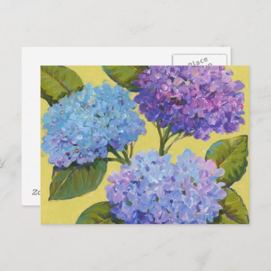 Spring Hydrangeas I Postkarte (Vorne/Hinten)