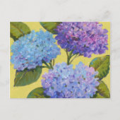 Spring Hydrangeas I Postkarte (Vorderseite)
