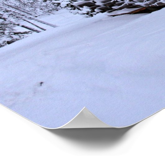 Spring in Lapland,  Poster (Ecke)