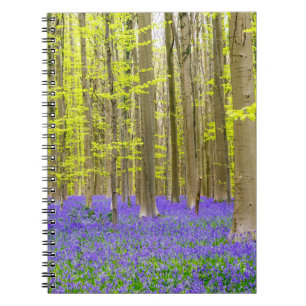 Spring in the Blue Forest Notizblock