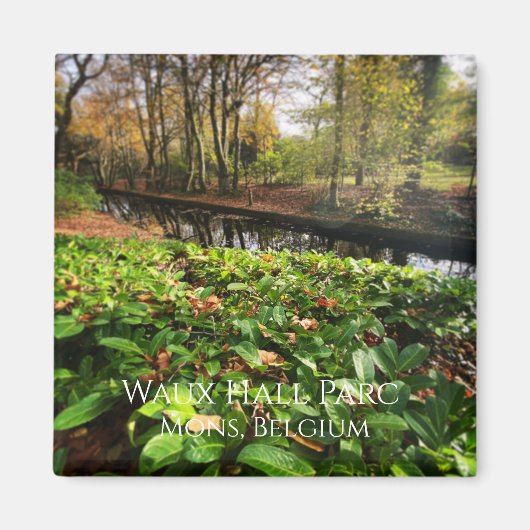 Spring in Waux Hall parc in Mons, Belgien Magnet (Vorne)
