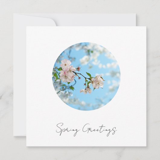 Spring Is in the Air -  Feiertagskarte (Vorderseite)