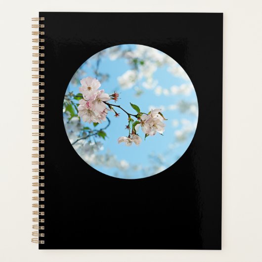 Spring Is in the Air -  Planer (Vorderseite)