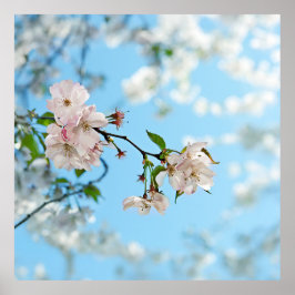 Spring Is in the Air - Poster