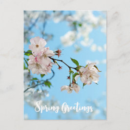 Spring Is in the Air - Postkarte