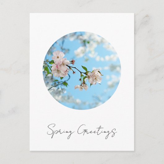 Spring Is in the Air -  Postkarte (Vorderseite)