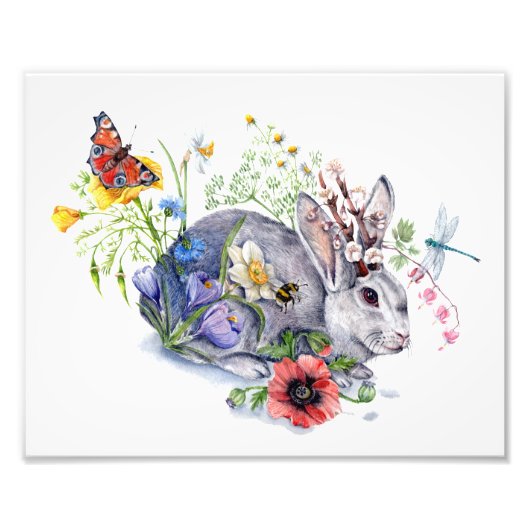 Spring Jackalope Fotodruck (Vorne)