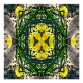 Spring Jo!. Poster (Vorderseite)