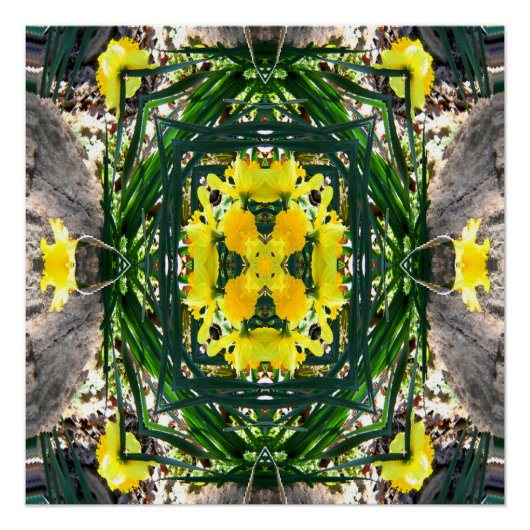 Spring Jo!. Poster (Vorderseite)