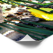 Spring Jo!. Poster (Ecke)