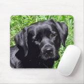 Spring Joy - Labrador Retriever - Black Lab Mousepad (Mit Mouse)