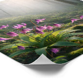 Spring Katakuri in Misty – Atr Print Poster (Ecke)