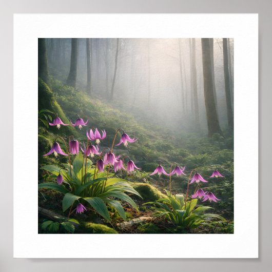 Spring Katakuri in Misty – Atr Print Poster (Vorne)