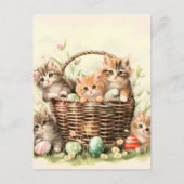 Spring Kitten Oaster Basket Ankündigungspostkarte (Vorderseite)