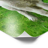 SPRING LAMBS FOTODRUCK (Ecke)