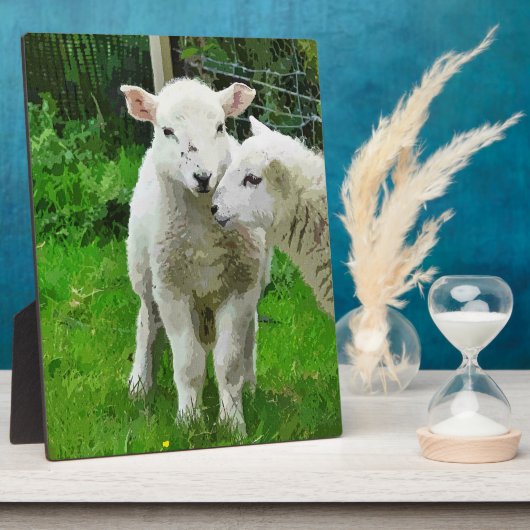 SPRING LAMBS FOTOPLATTE (Seite)