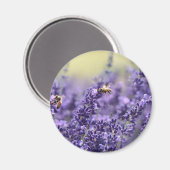 Spring Lavendel mit Lila Bienen Magnet (Vorderseite/Rückseite)