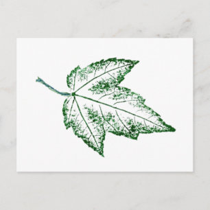 "Spring Leaf" Postkarte für die Landstrassen