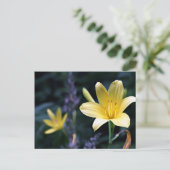Spring Lilies Postcard Postkarte (Stehend Vorderseite)
