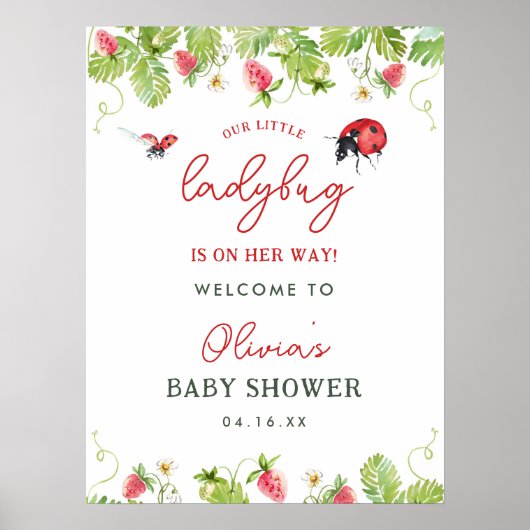 Spring Little Ladybug Girl Baby Dusche Willkommen Poster (Vorne)