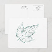 "Spring Maple" Landstraßen Postkarte (Vorne/Hinten)