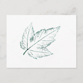 "Spring Maple" Landstraßen Postkarte