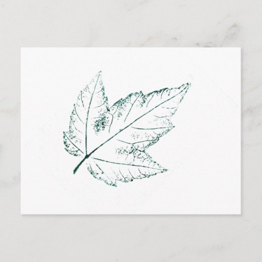 "Spring Maple" Landstraßen Postkarte (Vorderseite)