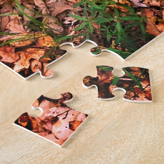 Spring Morel Hunting Puzzle (Seite)