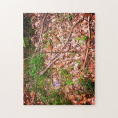 Spring Morel Hunting Puzzle (Vertikal)