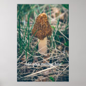 Spring Morel Mushroom Poster (Vorne)