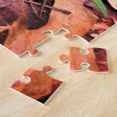 Spring Morel Puzzle (Seite)