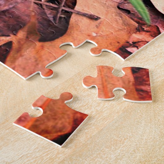 Spring Morel Puzzle (Seite)