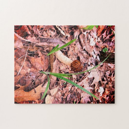 Spring Morel Puzzle (Horizontal)