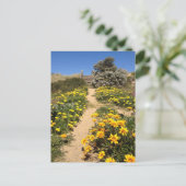 Spring Neunmeile Beach, Australien Postkarte (Stehend Vorderseite)