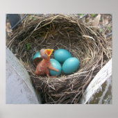 spring_new_born_firstborn poster (Vorne)