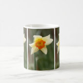Spring Orange Daffodil Tasse (Mittel)