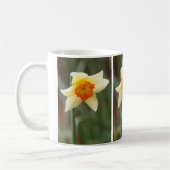 Spring Orange Daffodil Tasse (Links)