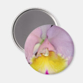 Spring Orchid Magnet (Vorderseite/Rückseite)