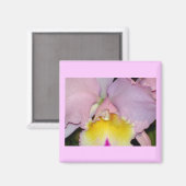 Spring Orchid Magnet (Vorderseite/Rückseite)