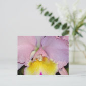 Spring Orchid Postkarte (Stehend Vorderseite)