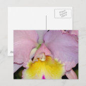 Spring Orchid Postkarte (Vorne/Hinten)