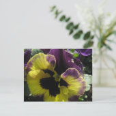 Spring Pansy Postkarte (Stehend Vorderseite)