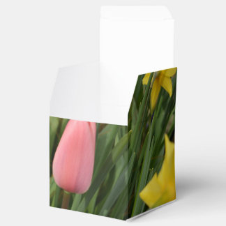 spring pink tulip and yellow daffodil flowers geschenkschachtel