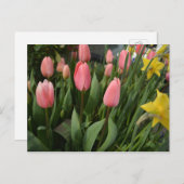Spring pink tulip flowers happy birthday postkarte (Vorne/Hinten)