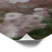 Spring Pinky Poster (Ecke)