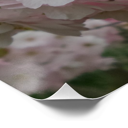 Spring Pinky Poster (Ecke)