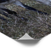 SPRING POSTER (Ecke)