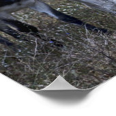 SPRING POSTER (Ecke)